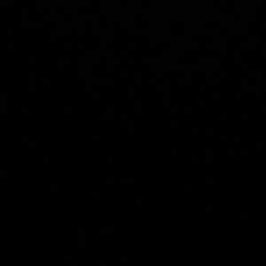 Meet your Posher, Terrence